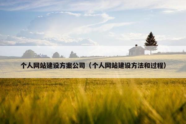 个人网站建设方案公司（个人网站建设方法和过程）