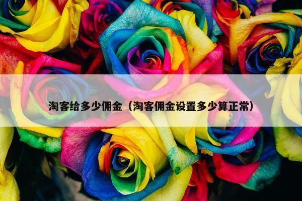 淘客给多少佣金（淘客佣金设置多少算正常）