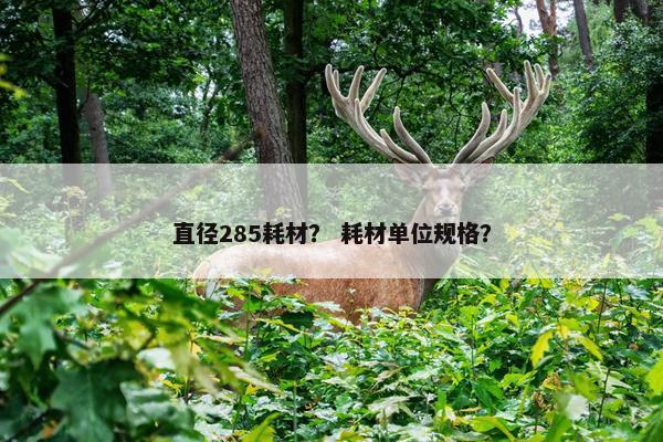 直径285耗材？ 耗材单位规格？