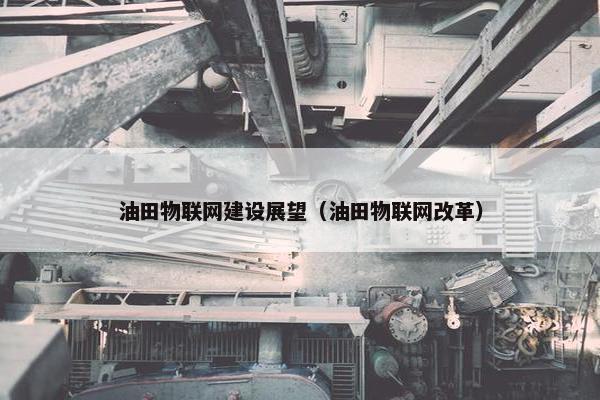 油田物联网建设展望（油田物联网改革）