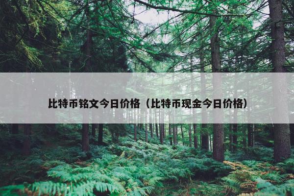 比特币铭文今日价格（比特币现金今日价格）