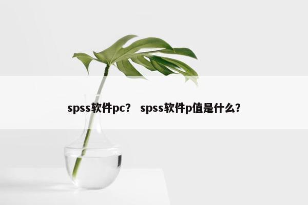 spss软件pc？ spss软件p值是什么？