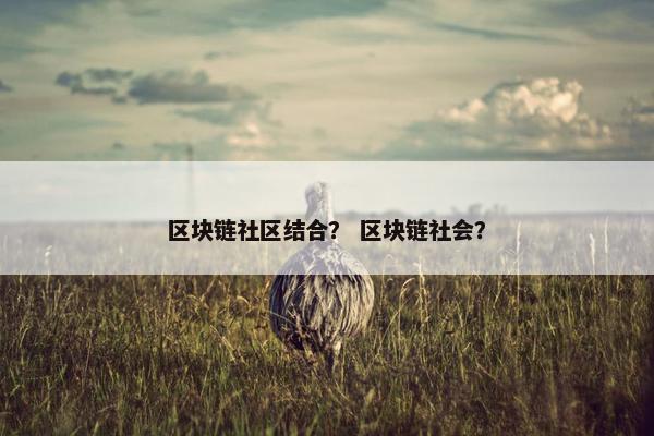 区块链社区结合？ 区块链社会？