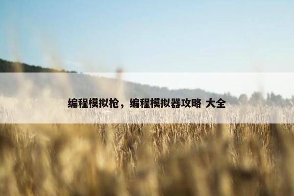 编程模拟枪，编程模拟器攻略 大全