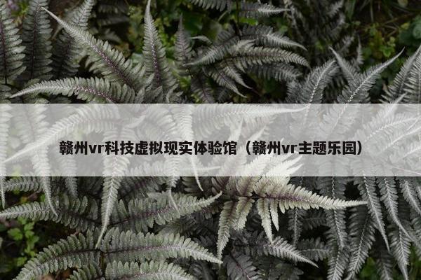 赣州vr科技虚拟现实体验馆（赣州vr主题乐园）