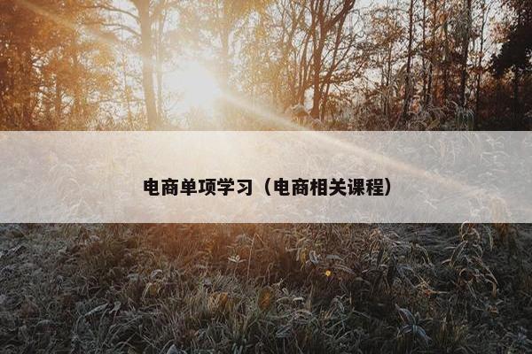 电商单项学习（电商相关课程）
