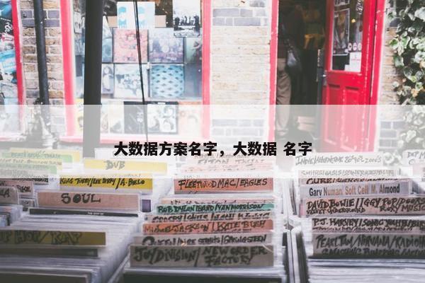 大数据方案名字，大数据 名字