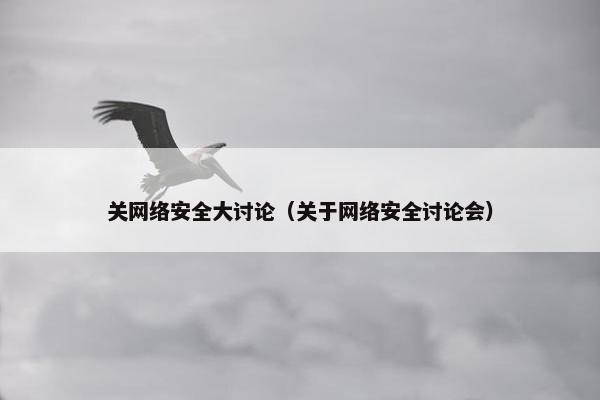 关网络安全大讨论（关于网络安全讨论会）