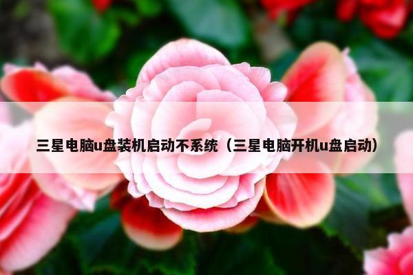 三星电脑u盘装机启动不系统（三星电脑开机u盘启动）