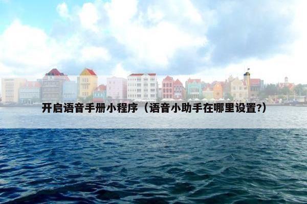 开启语音手册小程序（语音小助手在哪里设置?）
