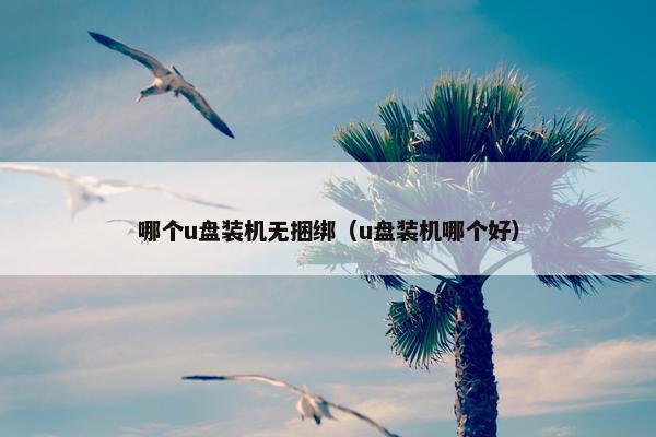 哪个u盘装机无捆绑（u盘装机哪个好）