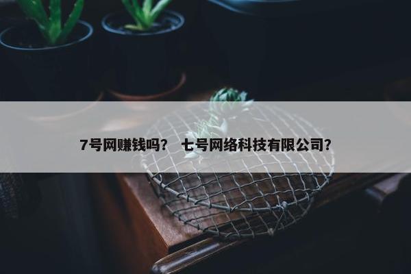 7号网赚钱吗？ 七号网络科技有限公司？