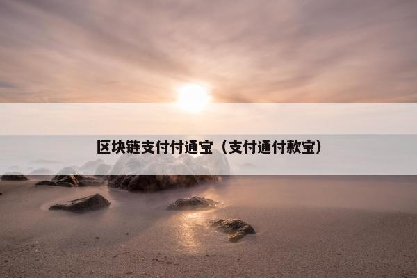 区块链支付付通宝（支付通付款宝）
