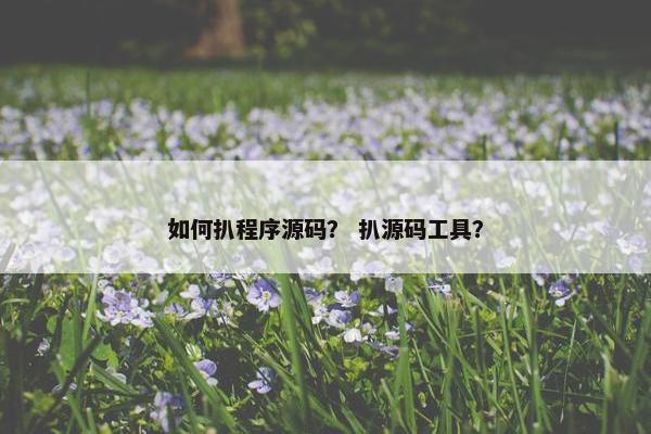 如何扒程序源码？ 扒源码工具？