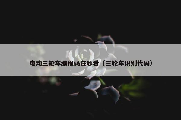 电动三轮车编程码在哪看（三轮车识别代码）