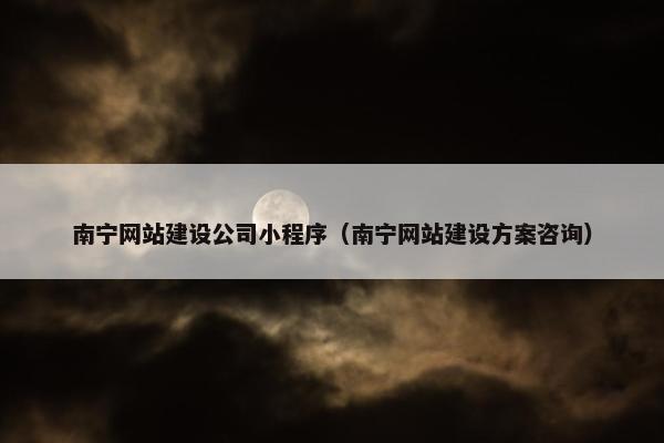 南宁网站建设公司小程序（南宁网站建设方案咨询）