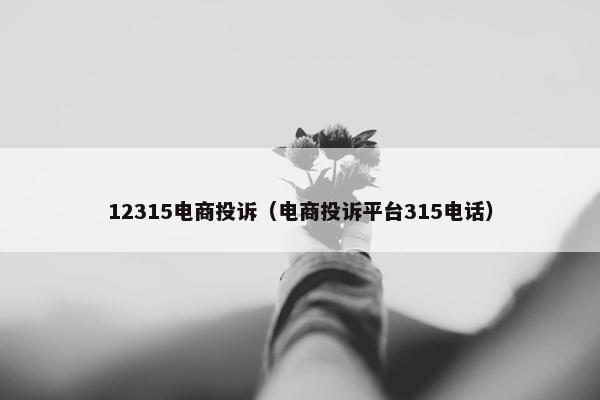 12315电商投诉（电商投诉平台315电话）