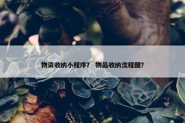 物资收纳小程序？ 物品收纳流程图？