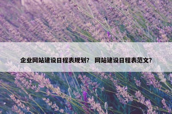 企业网站建设日程表规划？ 网站建设日程表范文？