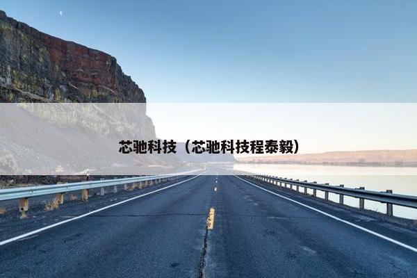 芯驰科技（芯驰科技程泰毅）