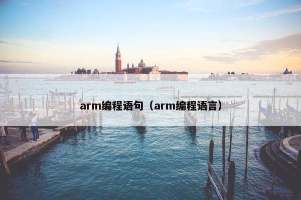 arm编程语句（arm编程语言）