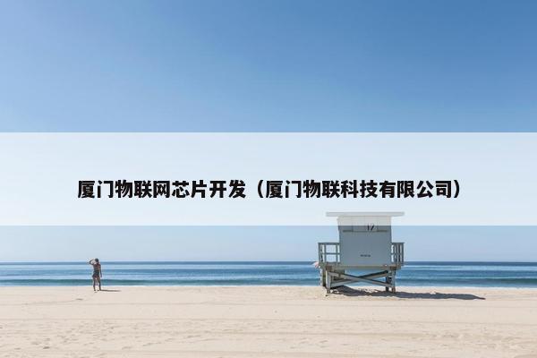 厦门物联网芯片开发（厦门物联科技有限公司）