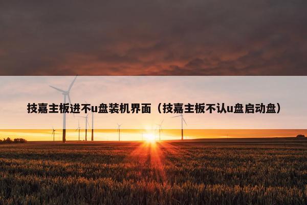 技嘉主板进不u盘装机界面（技嘉主板不认u盘启动盘）