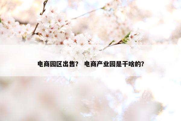 电商园区出售？ 电商产业园是干啥的？