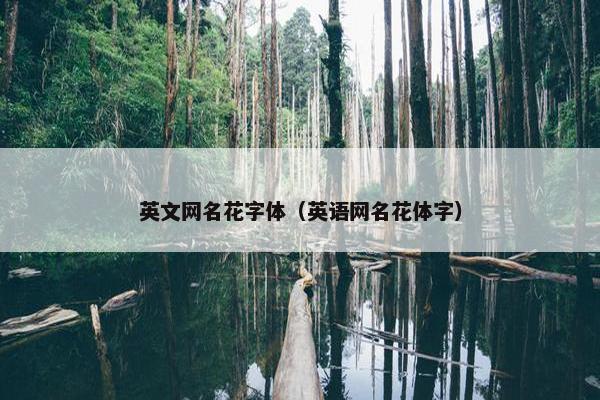 英文网名花字体（英语网名花体字）