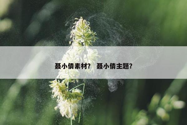 聂小倩素材？ 聂小倩主题？