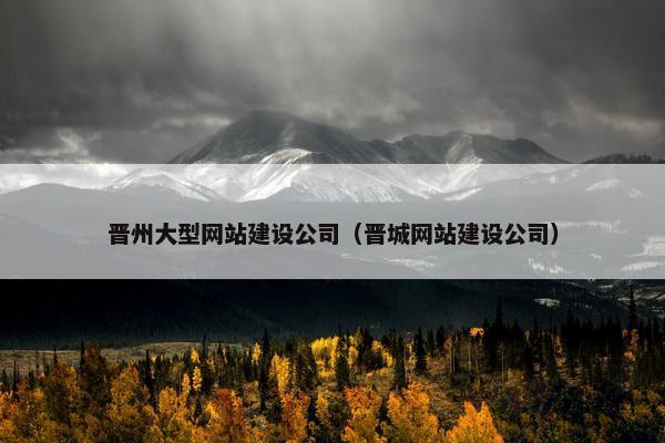 晋州大型网站建设公司（晋城网站建设公司）