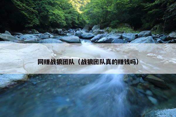 网赚战狼团队（战狼团队真的赚钱吗）