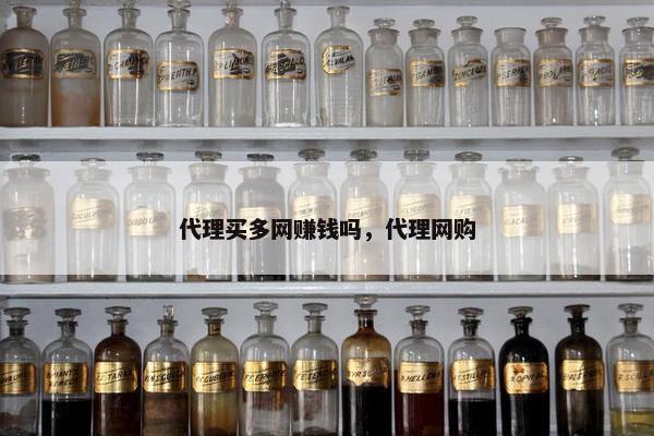 代理买多网赚钱吗，代理网购