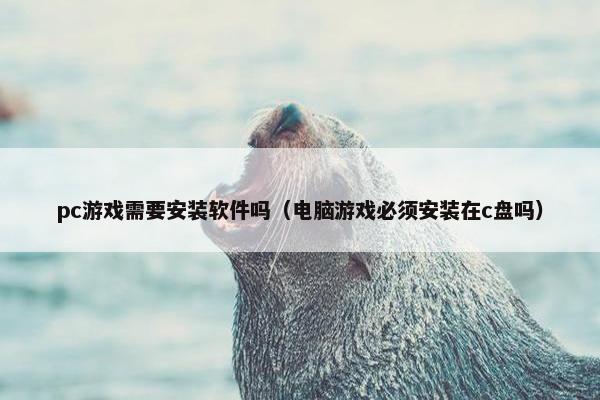 pc游戏需要安装软件吗（电脑游戏必须安装在c盘吗）