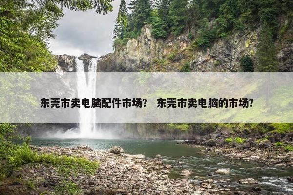 东莞市卖电脑配件市场？ 东莞市卖电脑的市场？