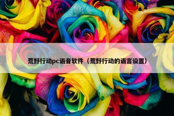 荒野行动pc语音软件（荒野行动的语言设置）