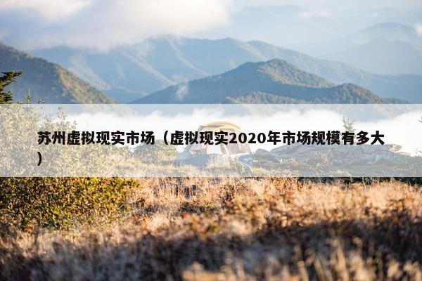 苏州虚拟现实市场（虚拟现实2020年市场规模有多大）