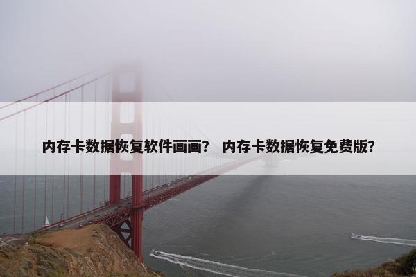 内存卡数据恢复软件画画？ 内存卡数据恢复免费版？