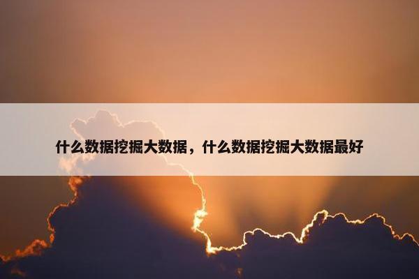 什么数据挖掘大数据，什么数据挖掘大数据最好