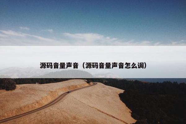 源码音量声音（源码音量声音怎么调）