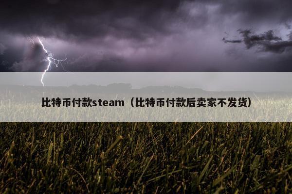 比特币付款steam（比特币付款后卖家不发货）