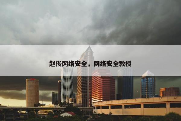 赵俊网络安全，网络安全教授