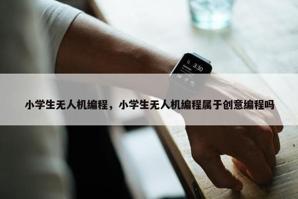 小学生无人机编程，小学生无人机编程属于创意编程吗