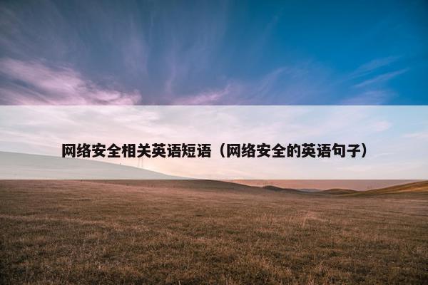 网络安全相关英语短语（网络安全的英语句子）