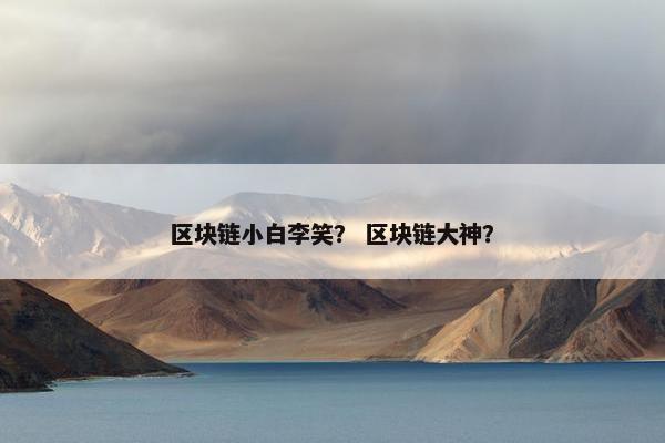 区块链小白李笑？ 区块链大神？