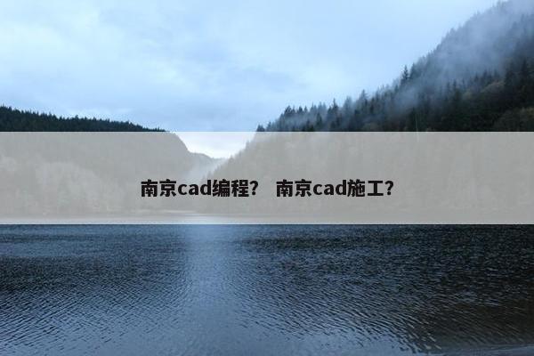 南京cad编程？ 南京cad施工？