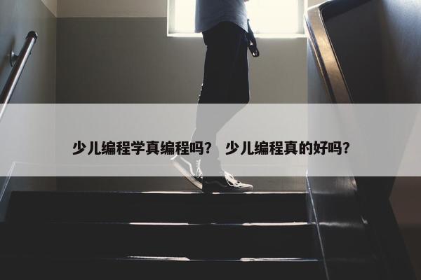少儿编程学真编程吗？ 少儿编程真的好吗？