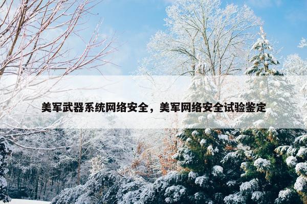 美军武器系统网络安全，美军网络安全试验鉴定