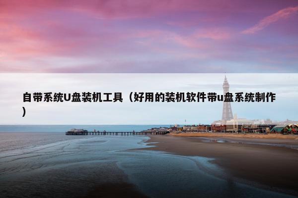 自带系统U盘装机工具（好用的装机软件带u盘系统制作）