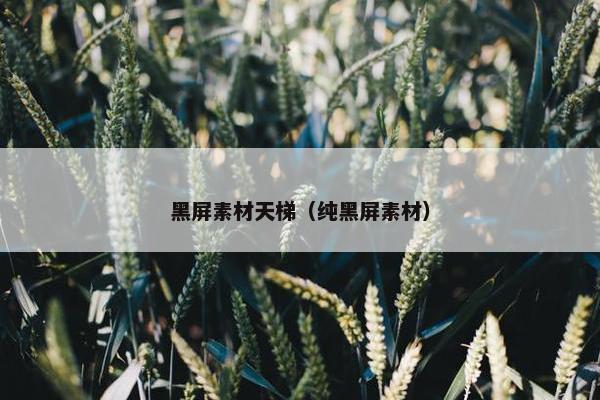 黑屏素材天梯（纯黑屏素材）